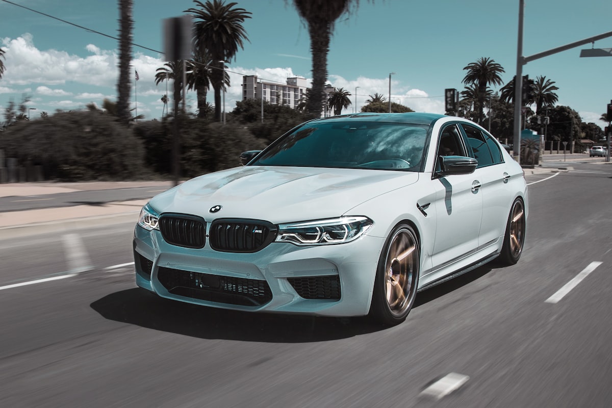 White BMW M5 driving through a palm-lined street